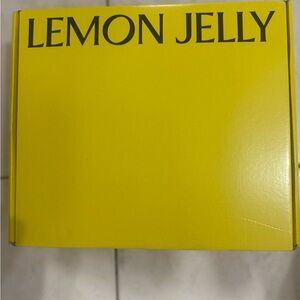 Brand New Lemon Jelly Rain Boots
